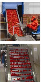 Huihe machineryTomato Paste Production Line,steam jacketed kettle autoclave and other stainless steel tank